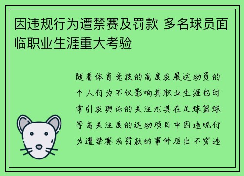 因违规行为遭禁赛及罚款 多名球员面临职业生涯重大考验
